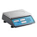 A digital price computing scale with a stainless steel platform and a blue control panel featuring a numeric keypad and display screens.