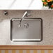 An Elkay undermount sink with a faucet above and a potted plant on the counter.