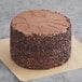 a chocolate cake with chocolate chips on top