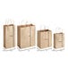 A group of Choice natural kraft paper shopping bags with handles and size measurements.