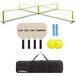 Triumph Pickleball Set (For 4 Players, w/ Carrying Case)