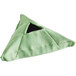 A green triangle Unger Stingray glass cleaning pad with a black hole.