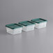 A row of Vigor plastic containers with green lids.