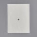 A white envelope style filter paper with a hole in the center.