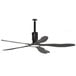 a ceiling fan with a light