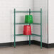 A green metal Regency wire shelving unit with red containers.