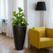 A plant in a Mayne Modesto black planter next to a yellow chair.