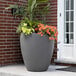 A Mayne Modesto graphite grey planter with orange flowers in it.