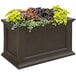 a planter box with different colored plants