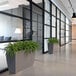 A Mayne Kobi graphite grey trough planter with green plants in a room with glass walls.