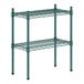 A green metal Regency wire shelf kit with two shelves.