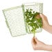 A hand holding a green plant in a clear container.