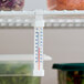 A tube-shaped refrigerator and freezer thermometer hanging from a wire shelf.