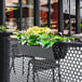 A black SelectSpace hanging planter with yellow flowers.