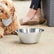 A dog lying on the ground next to a Linden Sweden stainless steel dog bowl.