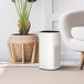 A white Guardian Technologies Germ Guardian air purifier with a black handle next to a plant.