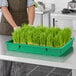 A woman standing behind a green Choice Microgreen growing tray full of grass.