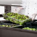 A gloved chef prepares salad in a Carlisle portable food/salad bar.