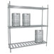 A metal shelf with three Advance Tabco kegs on it.