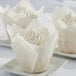 a close-up of a tissue