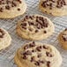 Chocolate chip cookies cooling on a rack.