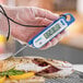 A person holding an AvaTemp digital folding probe thermometer to measure the temperature of fish.
