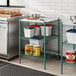 A kitchen with a green wire Regency shelf kit and a white counter.