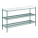 A Regency 3-shelf kit with green epoxy shelves and blue wire mesh.