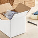 A white Lavex cardboard shipping box with a plastic bag inside.