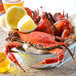 A bowl of Chesapeake blue crabs with lemon slices.