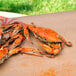 A table with a bushel of steamed blue crabs on it.