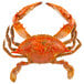 a cooked crab with a white background