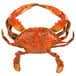 A seasoned, steamed blue crab from Chesapeake Crab Connection with a red and black crust on a white background.