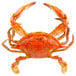 A Chesapeake blue crab with claws on a white background.