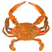 A large Chesapeake blue crab with seasoning on its back.