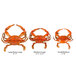 Three Chesapeake Blue Crabs in different sizes with a measuring tape showing 6" and 7" on a white background.
