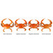 Large/extra large steamed blue crabs from Chesapeake Crab Connection.