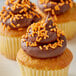 A close up of a cupcake with chocolate frosting and Bake-Stable Orange Sprinkles.