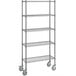 A Steelton chrome wire shelving unit with wheels.