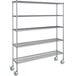 A Steelton chrome wire shelving unit with wheels.