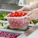 A person in gloves holding a translucent plastic container of tomatoes.