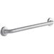 An American Specialties, Inc. stainless steel grab bar with snap flange.