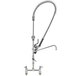 A T&S chrome pre-rinse faucet with hose and sprayer.