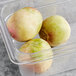 A group of fresh watermelon radishes in a plastic container.