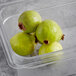 A plastic container of green guavas.