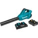 A blue and black Makita cordless blower kit.