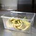 A clear Rubbermaid plastic container filled with bananas.
