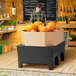 A man standing next to a MasonWays plastic bulk produce merchandiser filled with pumpkins.