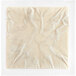 A white square Golden Tiger Egg Roll Wrapper with a crease in it.