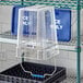 A clear plastic container with a blue lid on a shelf.